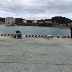 はっきりしない時合い