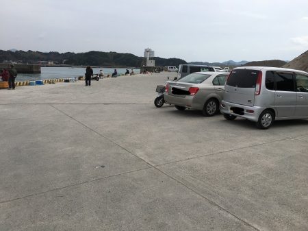 アジ28匹、サバ2匹