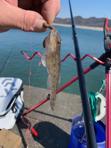 ２月なのにポカポカ釣行