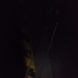 久々の神戸釣行