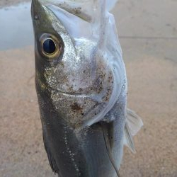 雨降ったりやんだり