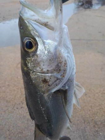 雨降ったりやんだり