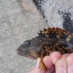 和歌山遠征も。。