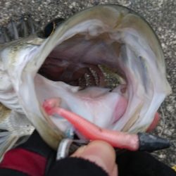 にわか雨が降って来た夕練
