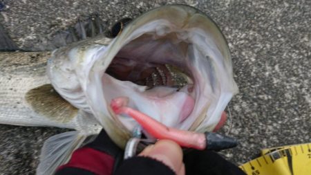 にわか雨が降って来た夕練