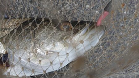 北風爆風朝練！