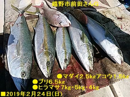 大物釣果速報！●光義丸：平戸市早福港