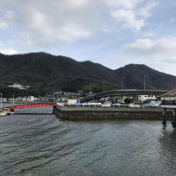 コウイカ狙いだったのに