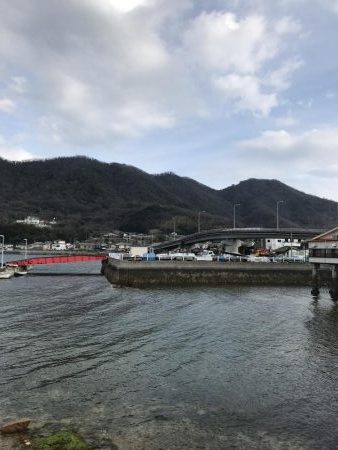 コウイカ狙いだったのに