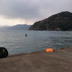 荒波の中エギング