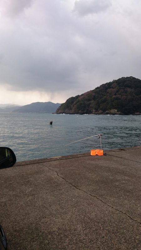 荒波の中エギング