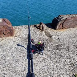 朝マズメから、