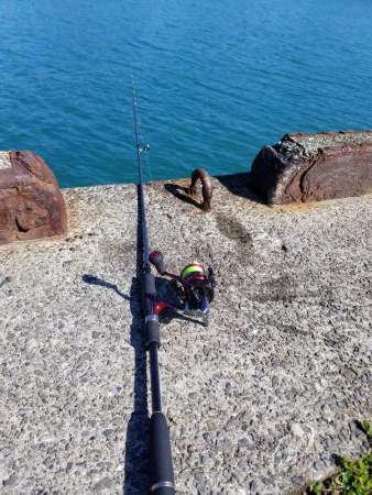 朝マズメから、