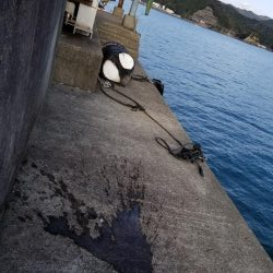 コウイカハンター