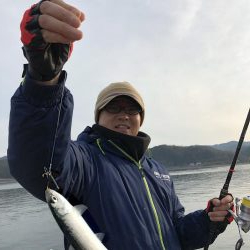 イワシ、サバ爆釣