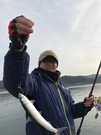 イワシ、サバ爆釣