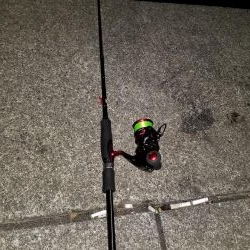 久しぶりにエギング