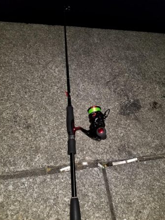 久しぶりにエギング