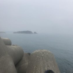 なかなかのサイズ。