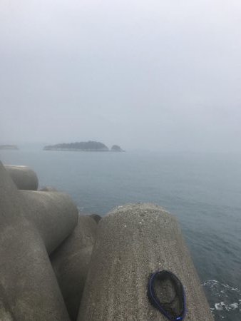 なかなかのサイズ。