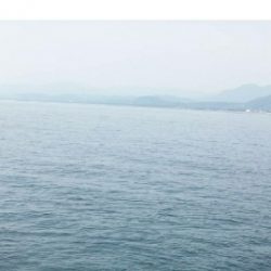 レッドモンスター？