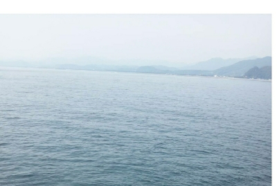 レッドモンスター？