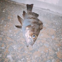 今一つでした。