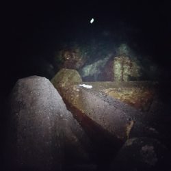 メバルを求めて！