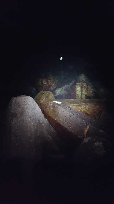 メバルを求めて！