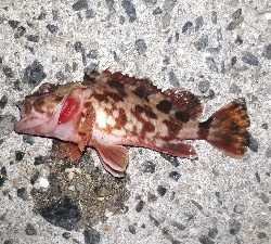 強風かと思えば・・・ラッキー