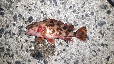 強風かと思えば・・・ラッキー