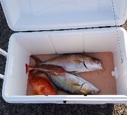 筋肉痛ジギング