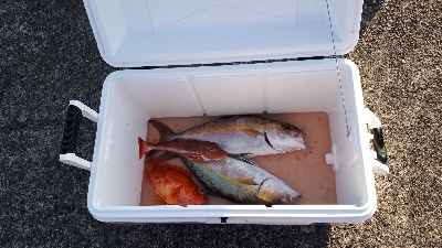 筋肉痛ジギング