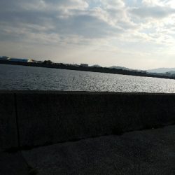 アジ釣り　～ジアイは一瞬～