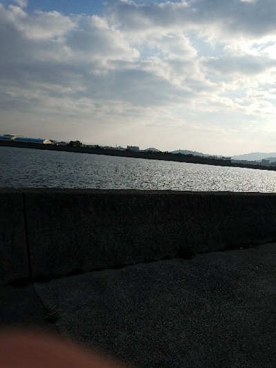 アジ釣り　～ジアイは一瞬～