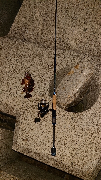 メバリングからガシリング