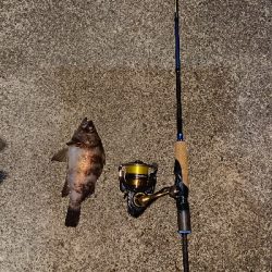 気になるポイントで…