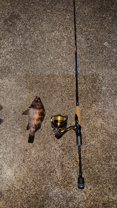 気になるポイントで…