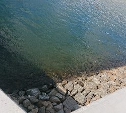 冷え込みで活性低め?