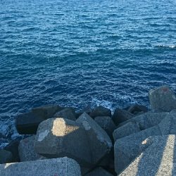 またまた本命釣れず…