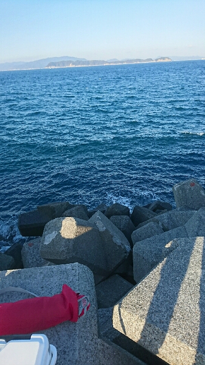 またまた本命釣れず…