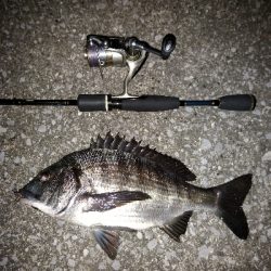 風を避けて移動しながら