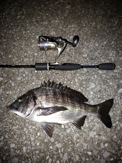 風を避けて移動しながら