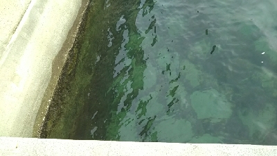 良いサイズが釣れました