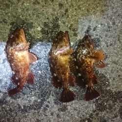 サイズがイマイチ…