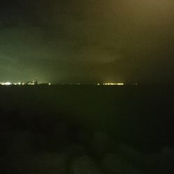 なんとか一匹…