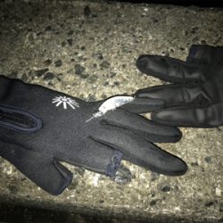 メバルプラッキング夜霧Z