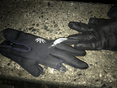 メバルプラッキング夜霧Z