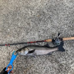 フィッシングショーには釣ってから行くねん♫