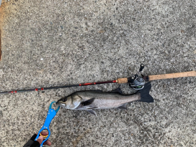 フィッシングショーには釣ってから行くねん♫